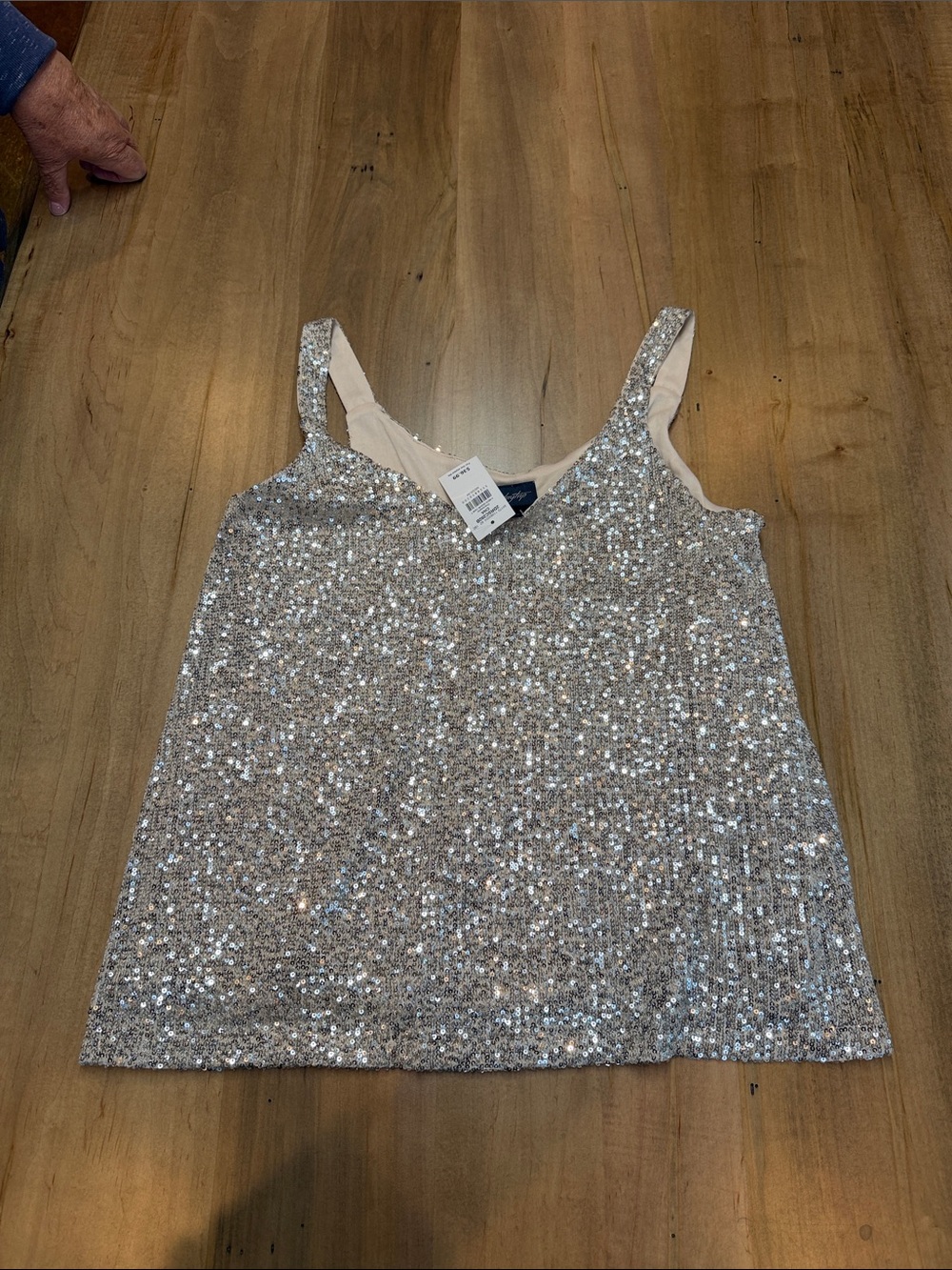 Daytrip Silver Sequin V-Neck Cami